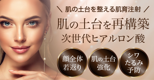 肌の土台を再構築する次世代ヒアルロン酸、プロファイロ