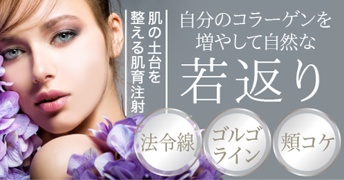 ジュベルックボリューム(レニスナ)