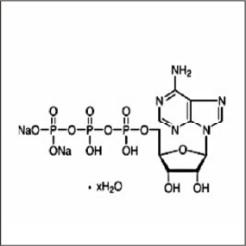 アデノシンリン酸二ナトリウム