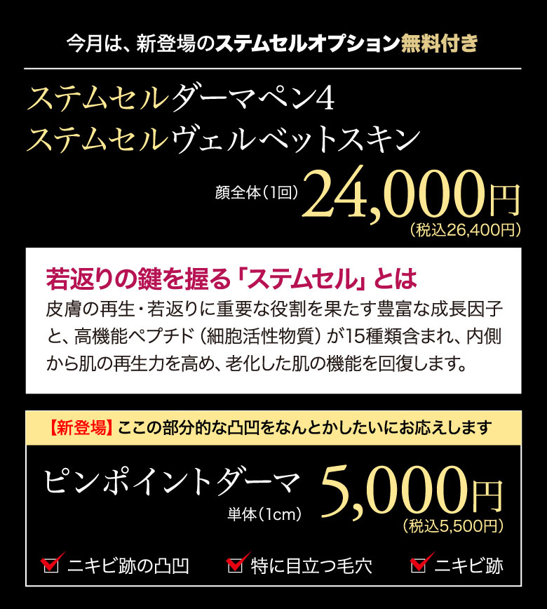 今月は、新登場のステムセルオプション無料付きステムセルダーマペン4 ステムセルヴェルベットスキン