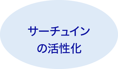 サーチュインの活性化