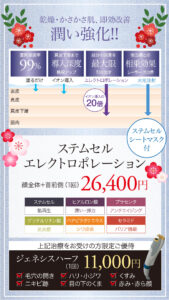 ステムセルエレクトロポレーション,エレクトロポレーション,イオン導入,イオン導入の20倍,電気穿孔法,成長因子