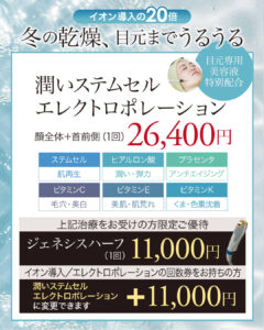 ステムセルエレクトロポレーション,エレクトロポレーション,イオン導入,イオン導入の20倍,電気穿孔法,成長因子