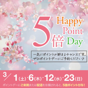ポイント5倍デー