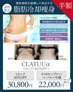 脂肪冷却痩身,ダイエット,医療痩身,メディカルダイエット,CLATUUα,クラツーアルファ,部分痩せ,脂肪細胞,ボディメイク