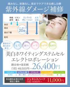 ステムセルエレクトロポレーション,エレクトロポレーション,ジェネシス,イオン導入,イオン導入の20倍,電気穿孔法,成長因子