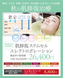 ケアシス,エレクトロポレーション,ステムセル,ジェネシス,イオン導入,電気穿孔法