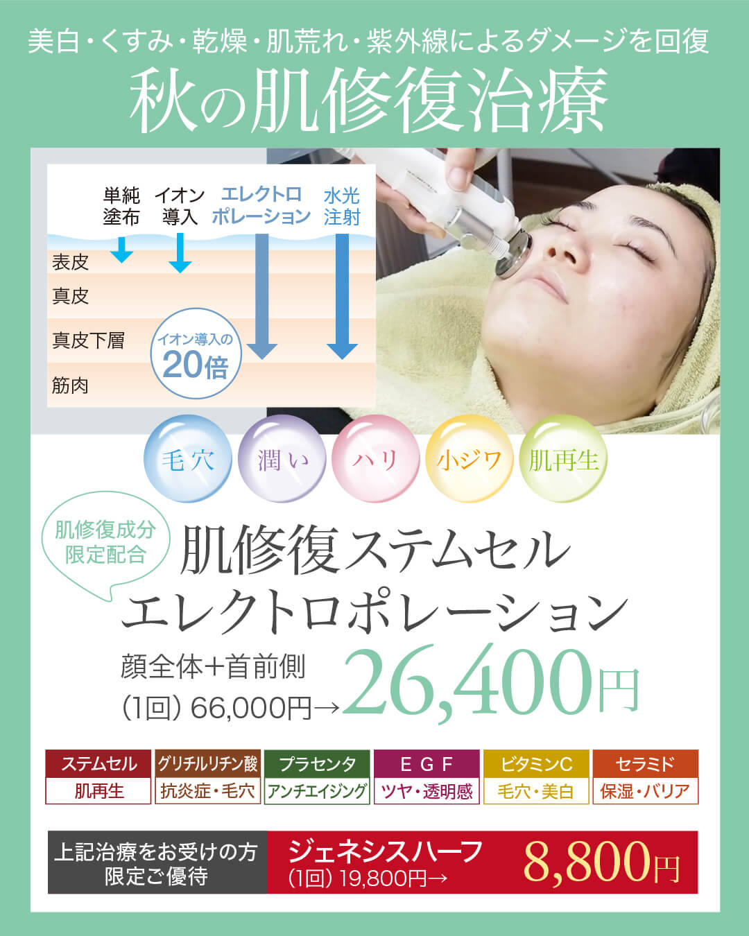 ケアシス,エレクトロポレーション,ステムセル,ジェネシス,イオン導入,電気穿孔法