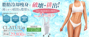 脂肪冷却痩身,クラツーα,CLATUUα,メディカルダイエット,部分痩せ