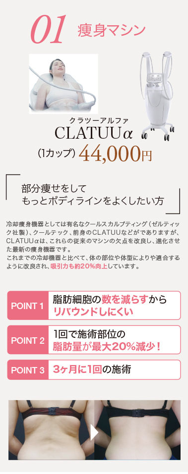 脂肪冷却痩身,クラツーα,CLATUUα,メディカルダイエット,部分痩せ