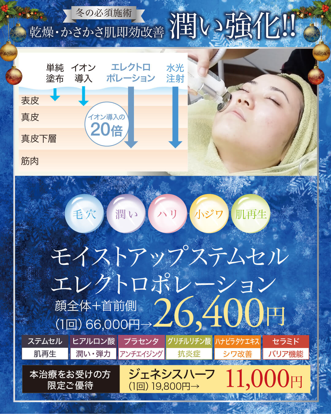 ケアシス,エレクトロポレーション,ステムセル,ジェネシス,イオン導入,電気穿孔法