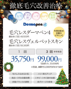 ダーマペン4,ヴェルベットスキン,コラーゲンマッサージピール,毛穴治療,ニキビ跡,