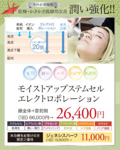 ケアシス,エレクトロポレーション,ステムセル,ジェネシス,イオン導入,電気穿孔法