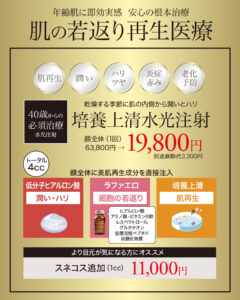 水光注射,VITAL INJECTOR,培養上清,低分子ヒアルロン酸,ラファエロ,スネコス,肌再生